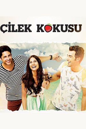 Çilek Kokusu