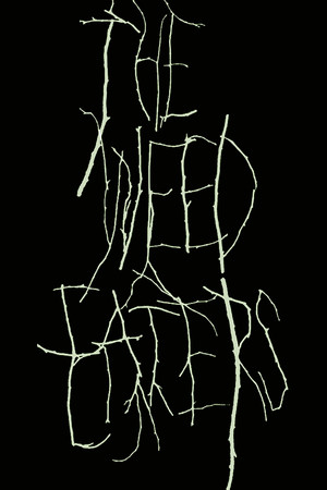 The Weed Eaters The Weed Eaters