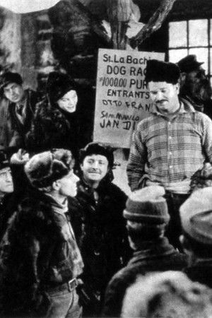 The Northern Trail The Northern Trail