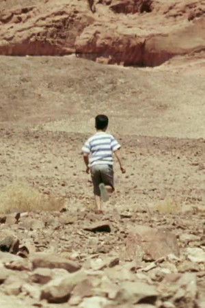 Bedouin Sand Bedouin Sand