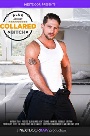Blue Collared Bitch Blue Collared Bitch
