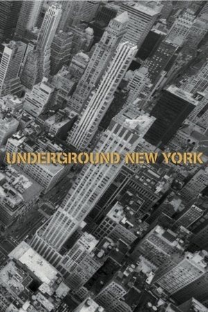 Underground New York Underground New York