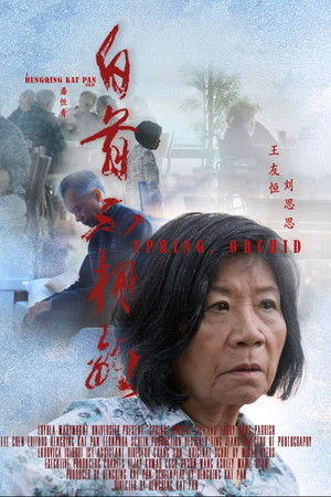 Spring, Orchid Spring, Orchid