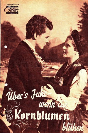 Übers Jahr, wenn die Kornblumen blühen Übers Jahr, wenn die Kornblumen blühen