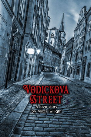 Vodickova Street Vodickova Street