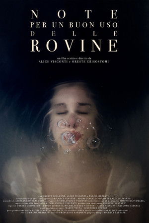 Notes For a Good Use of the Ruins Notes For a Good Use of the Ruins