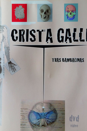 Crista Galli: Tras Bambalinas Crista Galli: Tras Bambalinas
