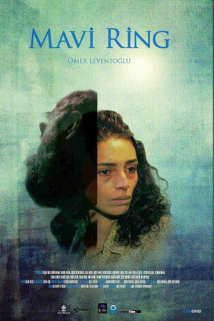 The Blue Van The Blue Van