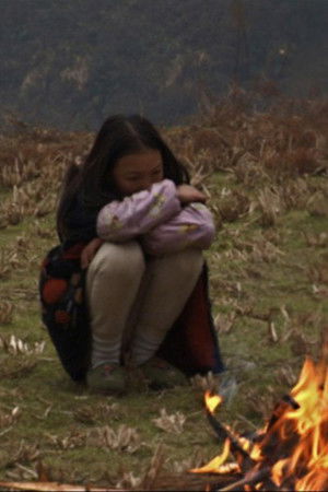 The Warmth Of Orange Peel The Warmth Of Orange Peel