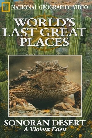 The Sonoran Desert: A Violent Eden