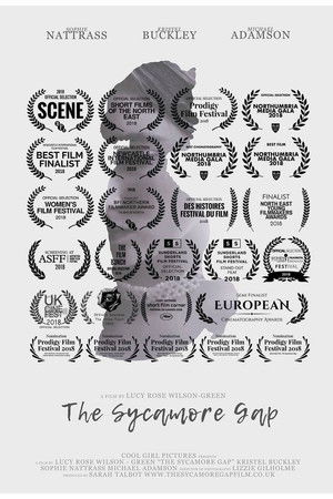 The Sycamore Gap The Sycamore Gap