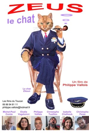 Zeus le chat Zeus le chat