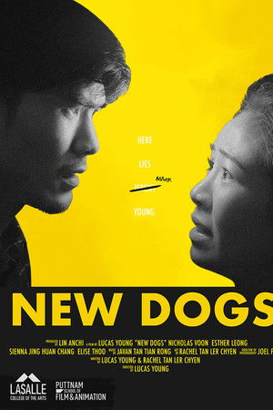 New Dogs New Dogs