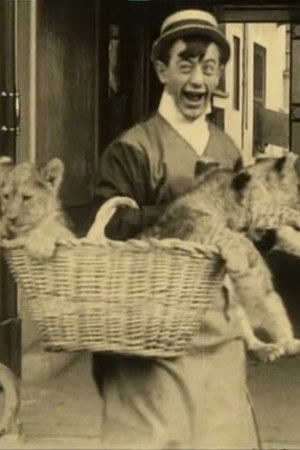 Polidor and the Cat Polidor and the Cat