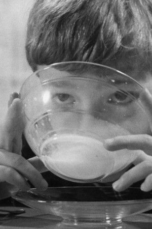 Switzerland Ponders Switzerland Ponders