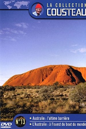 The Cousteau Collection N°7-2 | The Night of the Squid