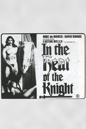 In The Heat of The Knight In The Heat of The Knight