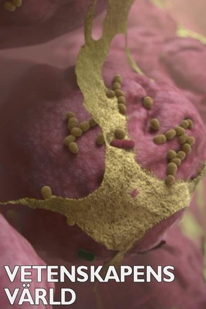 Vetenskapens värld Vetenskapens värld