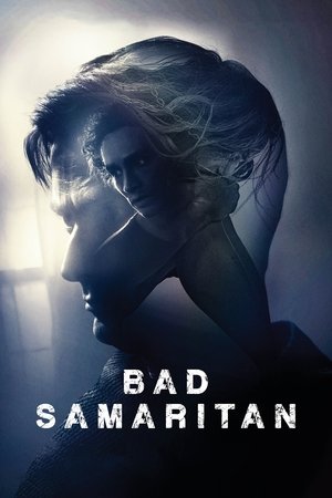 Bad Samaritan Bad Samaritan