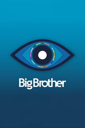 Big Brother Big Brother