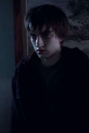 The Ambassador The Ambassador