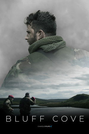 Bluff Cove Bluff Cove