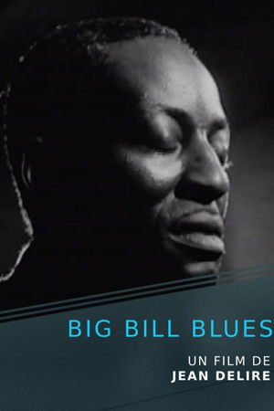 Big Bill Blues Big Bill Blues