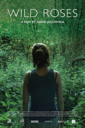 Wild Roses Wild Roses