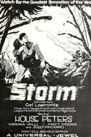 The Storm The Storm