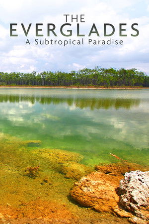 National Parks Exploration Series: The Everglades National Parks Exploration Series: The Everglades