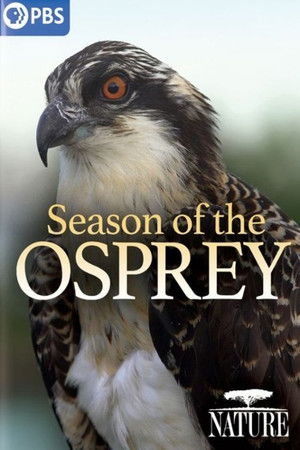 Season of the Osprey Season of the Osprey