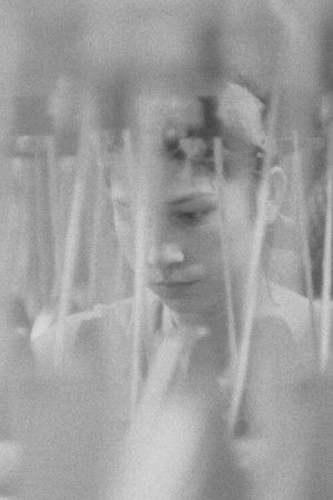 At the Lőrinc Spinnery At the Lőrinc Spinnery