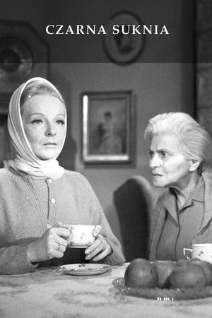 The Black Dress The Black Dress