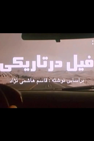 Elephant in the Dark Elephant in the Dark