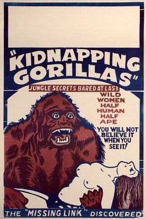 Love Life of a Gorilla Love Life of a Gorilla