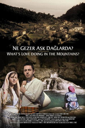 Ne Gezer Aşk Dağlarda?