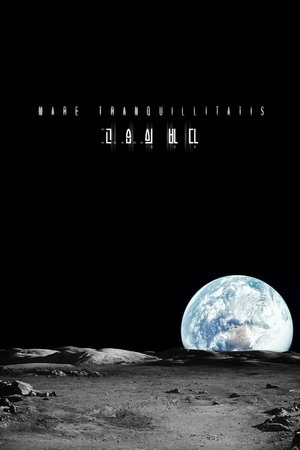 The Sea of Tranquility The Sea of Tranquility