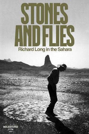 Stones and Flies: Richard Long in the Sahara Stones and Flies: Richard Long in the Sahara
