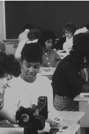 The American Negro The American Negro