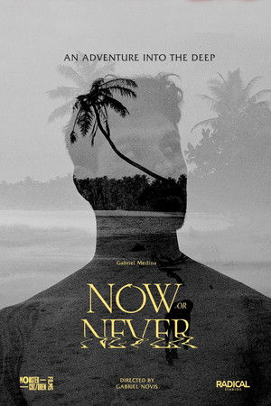 Now or Never Now or Never