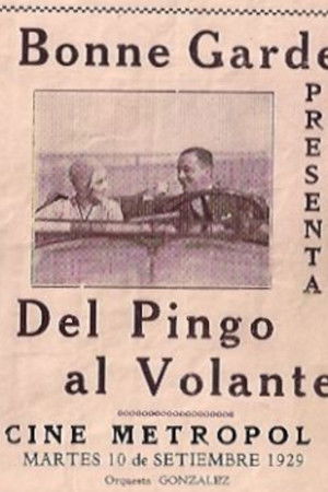 Del pingo al volante