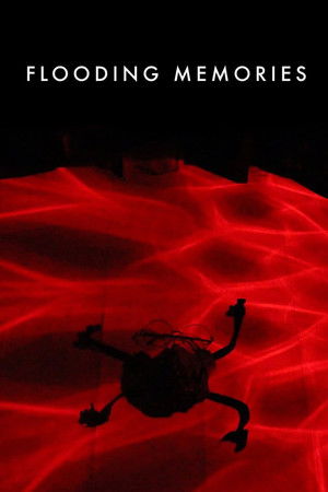 Flooding Memories Flooding Memories