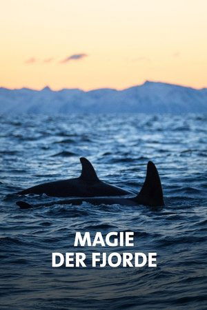 NORWAY´S MAGICAL FJORDS NORWAY´S MAGICAL FJORDS