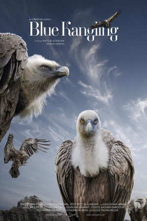 Blue Kangling Blue Kangling