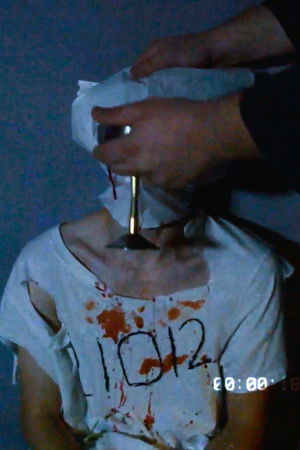 FALLEN FROM GRASE FALLEN FROM GRASE