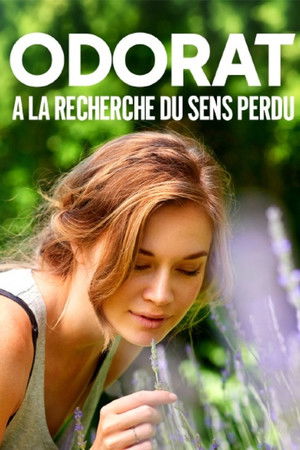 Odorat : à la recherche du sens perdu