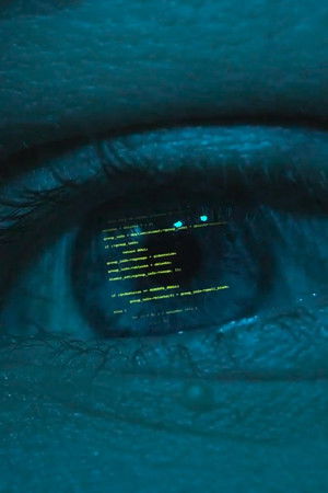 Media Mushrooms Media Mushrooms