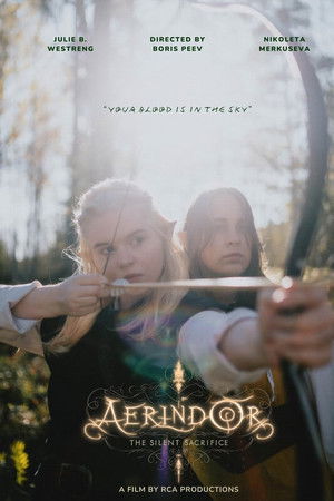Aerindor: The silent sacrifice Aerindor: The silent sacrifice