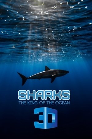 Sharks: Kings of the Ocean Sharks: Kings of the Ocean