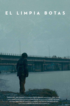 Shoe Shiner Shoe Shiner